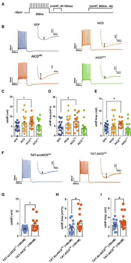 Figure 2. AICD Decreases Neuron Firing through Enhancement of the AHP