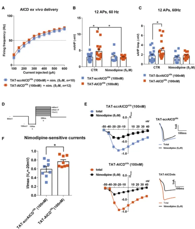 Figure 4. The Effect of AICD on Neuron Firing Requires L-type Ca 2+ Channel Activity