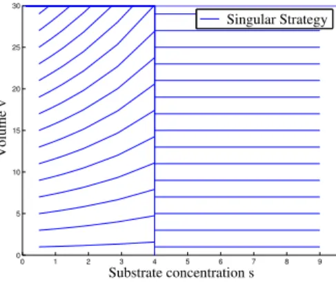 Figure 1. Plot of the projection of the singular arc strategy into the plane (s, v) in the impulsive framework for different initial volume values, with a mortality coefficient k = 10 −4 