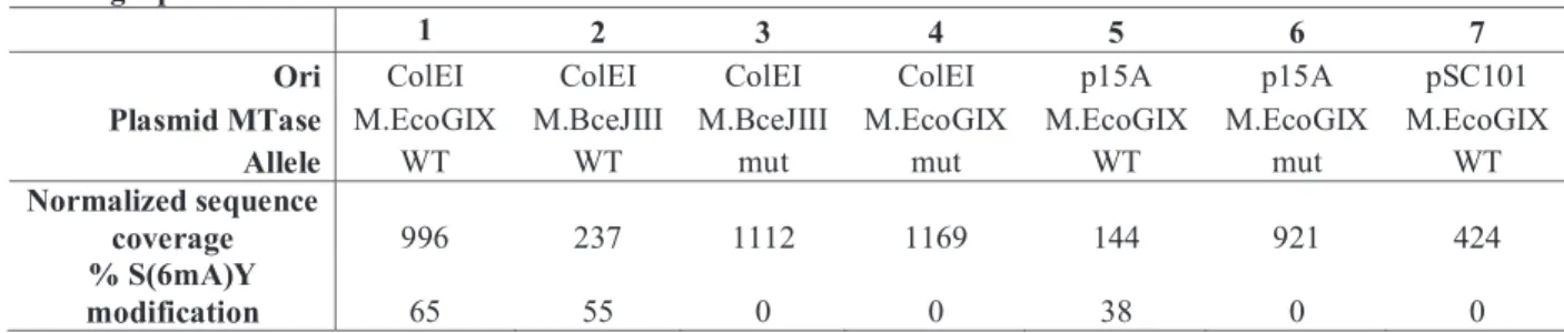 Table 1. Copy number and modification levels.