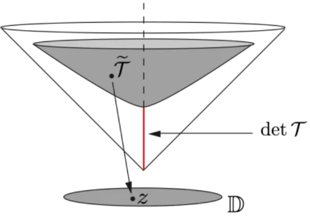 Figure 6: The hyperboloid SSP D(2) and projection on the disc D . therefore reads ∂v ∂t (T , t) = (T , t) + Z SP D(2) w(T ; T 0 )S µ (v(T 0 , t))dT 0 + I ext (14) where dT is the volume element for the Riemannian metric g T , which we shall explicit in the