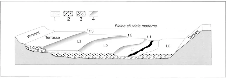 Fig.  2 - Topographie relationship  between  the different beds  (after Masson et al.,  1996)