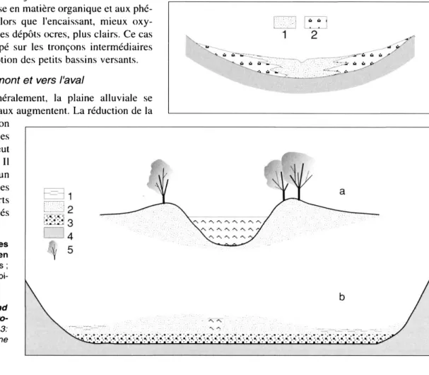 Fig. 4 - Natural levee (a) and  roof-shaped transverse prof ile (b).  1:  clays;  2: loam;  3: 