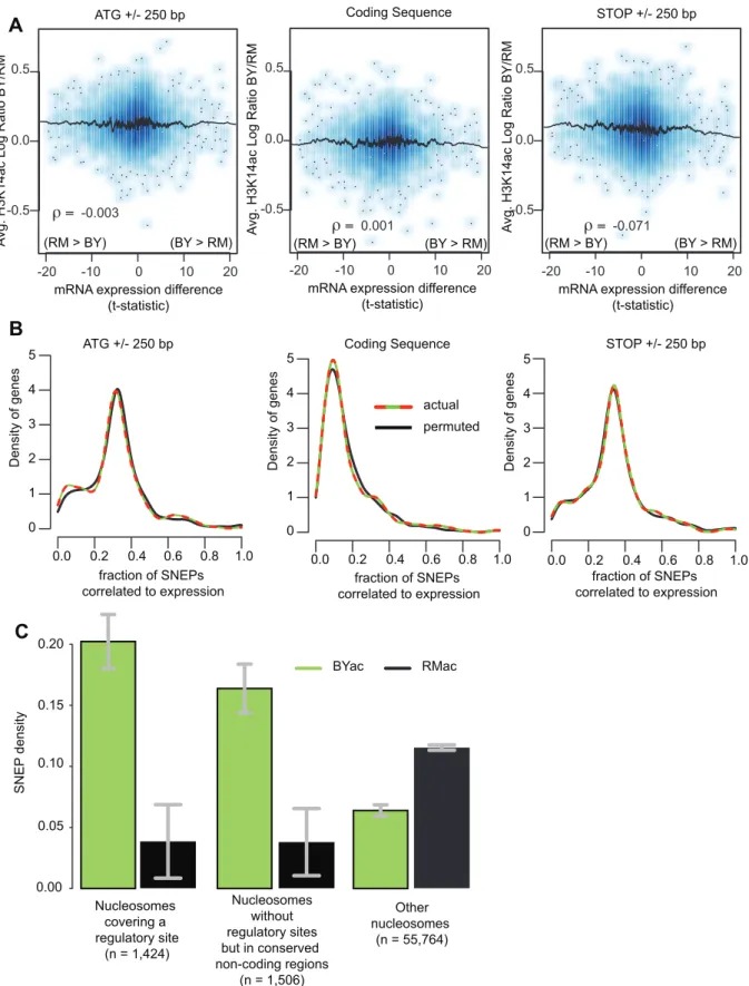 Figure 3. SNEPs are not associated with transcriptional differences but are enriched at conserved regulatory sites