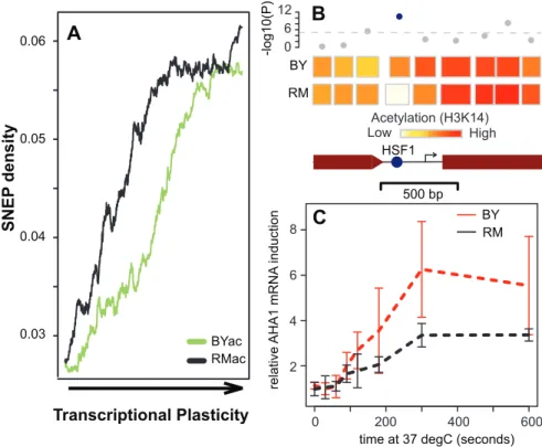Figure 4. SNEP correlation with transcriptional plasticity. (A) SNEP density is correlated to transcriptional plasticity genome-wide