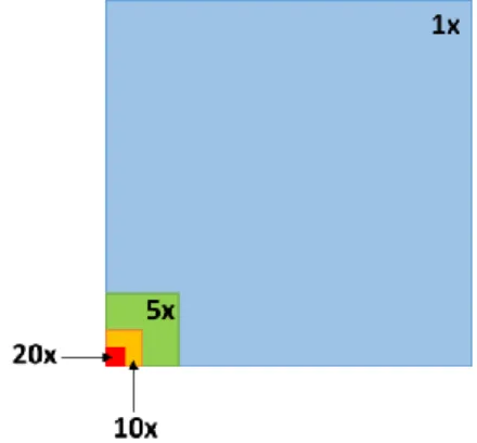 Figure 1 - Theoretical comparison of the FOV of objectives depending on their magnification