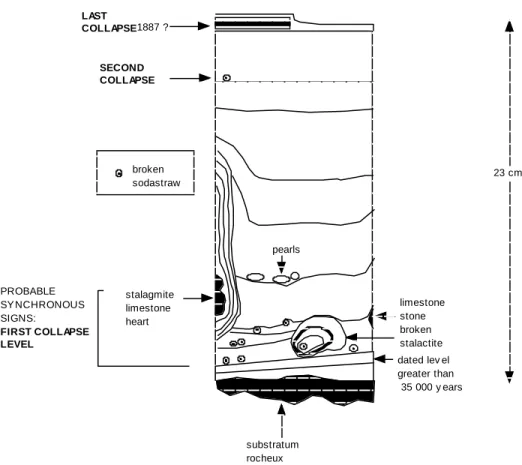Fig. 6: Schematic section of the sample in the cave of the Observatoire (Monaco). 