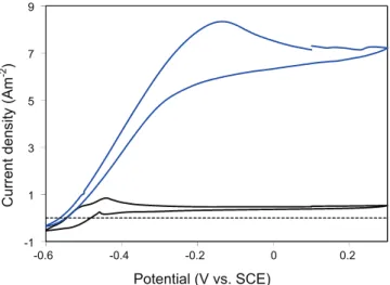 Fig. 3. Cyclic voltammetry of a bioanode formed on carbon cloth at +0.1 V vs. SCE.