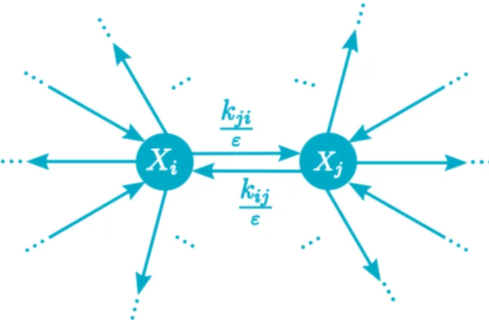 Figure 2: Single reactant-single product hypothesis: fast reaction k ji /ε just consumes one metabolite (X i ) and produces another (X j )