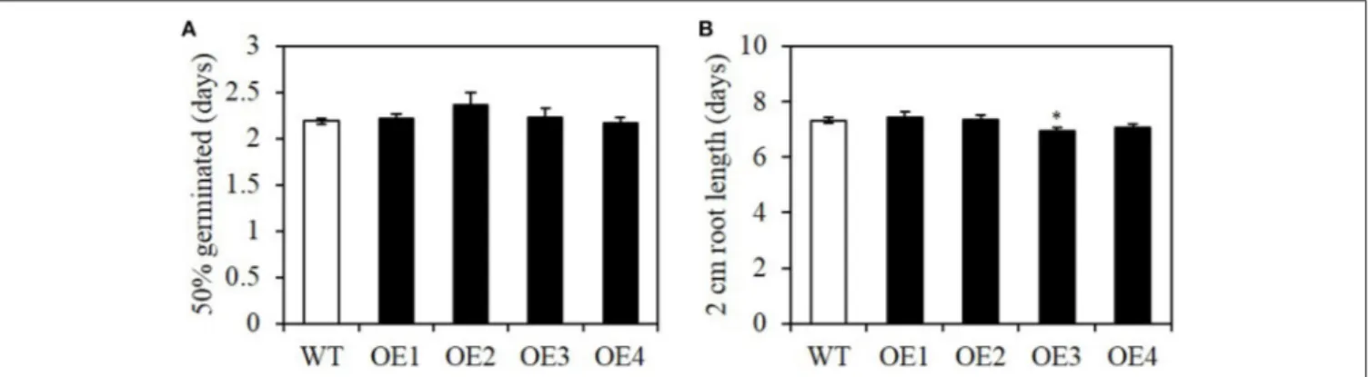 FIGURE 6 | Germination rate and early seedling growth rate of seed-specific BASS2-overexpressing lines (OEs)
