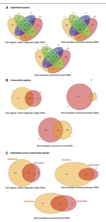 FIGURE 4 | Venn diagram displaying the shared and unique bacterial OTUs at 100% identity among light-DNA (SOM degraders), heavy-DNA, and root-DNA fractions (root exudate consumers) retrieved from (A) exploitative species [Bromus erectus (BE), Anthoxanthum 