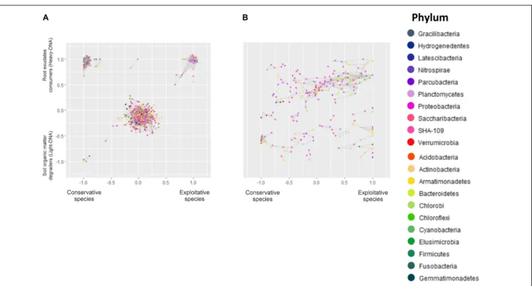 FIGURE 5 | Microbial networks of bacteria inhabiting (A) the RAS and involved in root exudate assimilation (heavy-DNA) or SOM degradation (light-DNA)