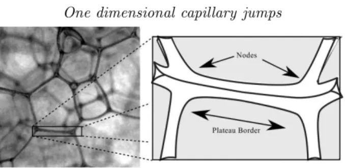 Figure 1. Optical photography of a liquid foam. The close up shows a Plateau border. The gray areas represent the liquid films shared by two adjacent bubbles.