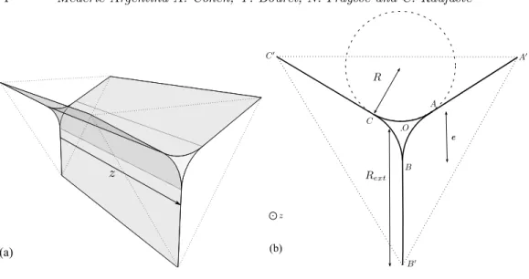 Figure 2. (a) Three-dimensional representation of the system. The gray surfaces represent the liquid-air interfaces