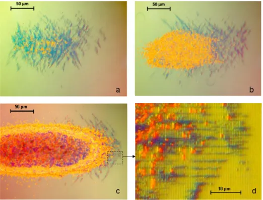 Fig.  6.  Damage  morphology  on  MMLD  grating  sample  06-0676  at  different  stages  of  the  damage: the initiation with some limited growth [Fig