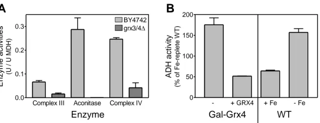 Figure  S1.  Grx4  depletion  induces  multiple  iron-related  defects.  (Related  to  Figure  1  and  Figure  3.)  (A)  Activities  of  aconitase  and  respiratory  complexes  III  and  IV  were  determined in mitochondria isolated from BY4742 wild-type a