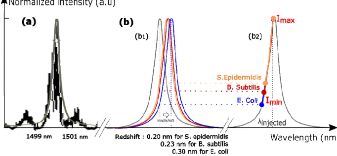 FIG. 5. (a) Experimental measurements, resonance peak of the optical structure used to trap bacteria  (in  black)  and  lorentzian  fit  of  this  curve  (in  grey),  using  Fityk  (curve  fitting  and  peak  fitting  software)