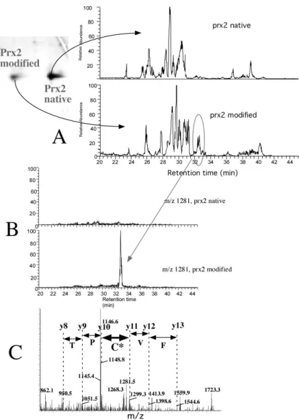 Figure 5: Determination of the post-translational modification on Prx2  