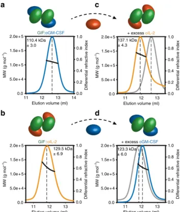 Figure 4 | SEC-MALLS analysis of GIF:GM-CSF and GIF:IL-2 complexes.