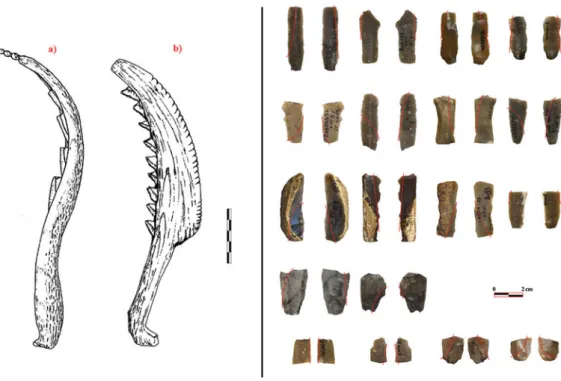 Figure 2. Examples of glossy blades for bended sickles, with: a) antler sickle from Karanovo (modified from Gurova 2014);