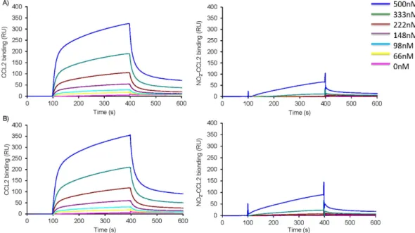 Figure 6.  Functional effect of CCL2 nitration on cell recruitment in vivo using a murine air pouch model  of chemotaxis