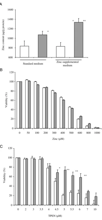 Fig. 7. Influence of ZnT-8 on glucose-induced insulin secretion.