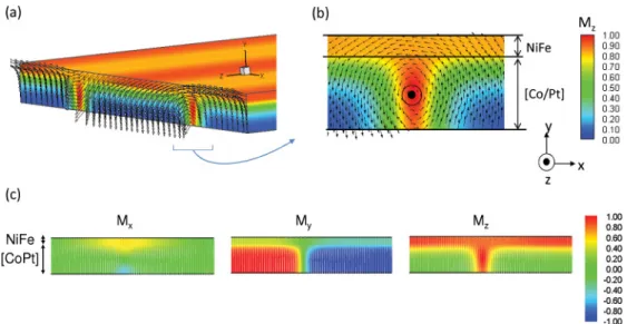 FIG. 8. (Color online) (a) 3D representation of the magnetization distribution simulated for [Pt/Co]/NiFe with t Pt = 25 nm