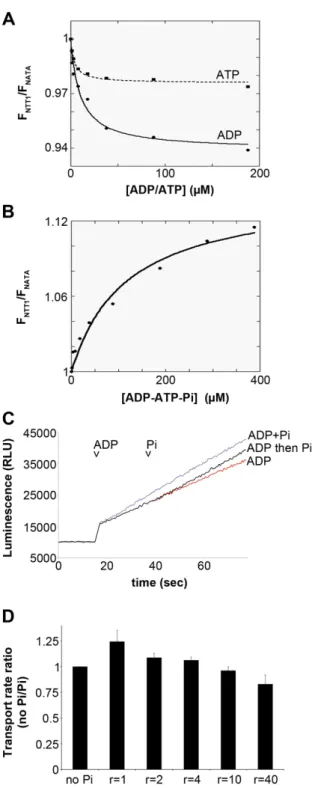 Figure 4. Nucleotide binding and Pi effect on NTT1. A, NTT1 tryptophan fluorescence quenching by ADP and ATP