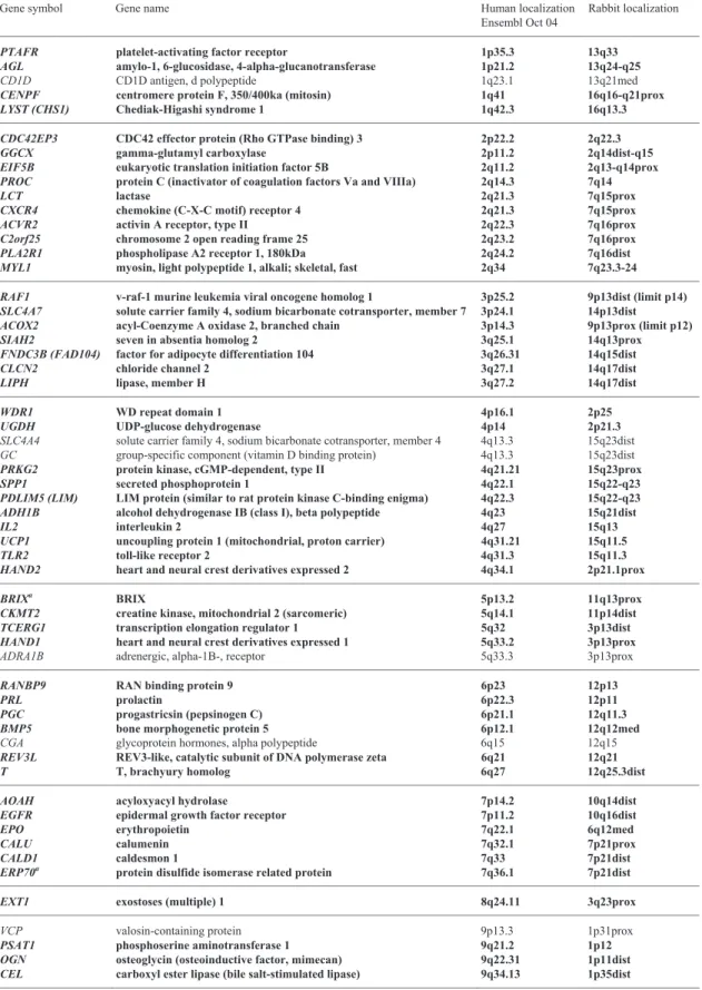 Table 1. List of genes mapped in this study, their localisation on human chromosomes, expected localisation in rabbit and FISH  localisations