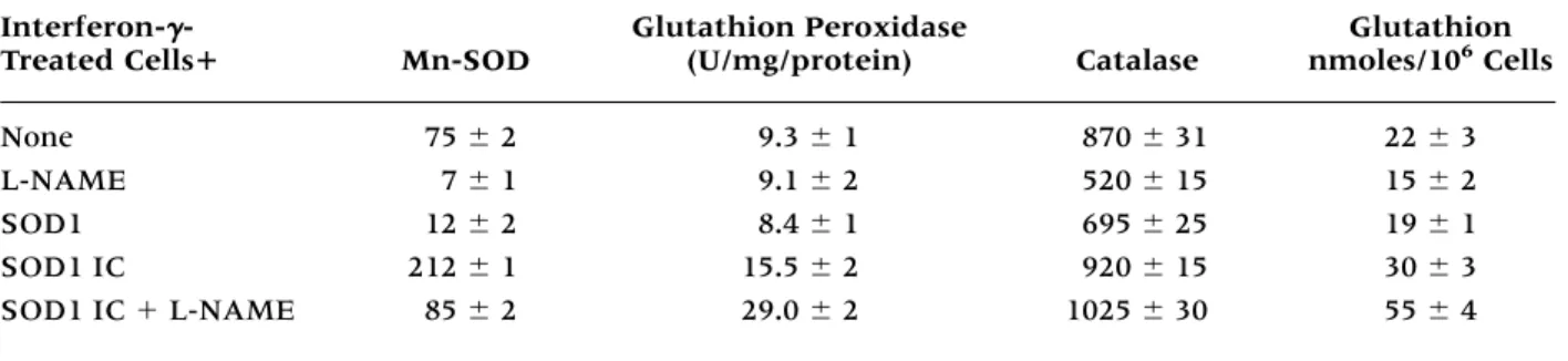 Table 5. Role of nitric oxide in the control of the anti-oxidant armature in interferon-  -treated macrophages stimulated by SOD1 IC