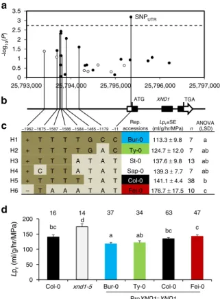 Fig. 2 A XND1 -based association analysis allows re ﬁ ning the natural allelic variations of XND1 