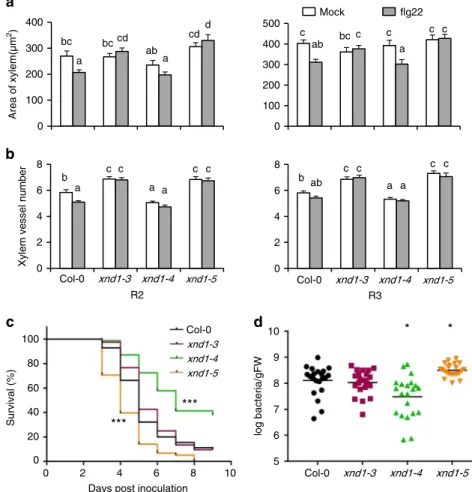 Fig. 7 XND1 mediates the inhibition of xylem formation by ﬂ g22 and resistance to R. solanacearum 