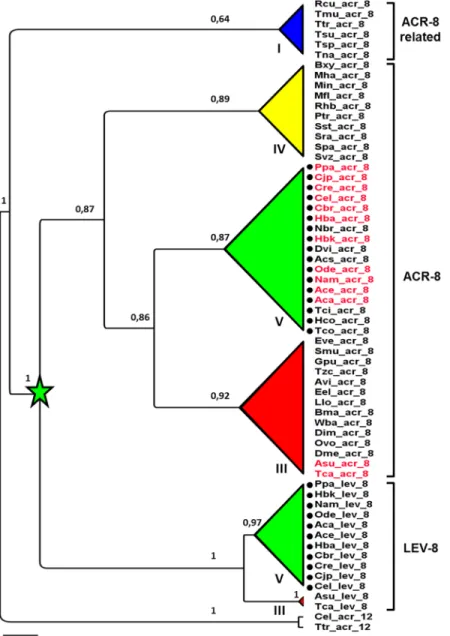 Fig 1. Maximum likelihood phylogeny (PhyML) of acr-8 and lev-8 codon sequences from Clade I, III, IV and V nematode species