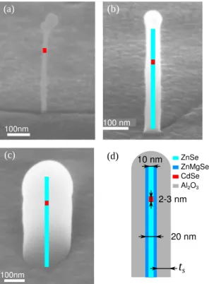 Figure 2. (a) SEM image of a standing ZnSe/ZnMgSe NW embedding a CdSe QD. The QD