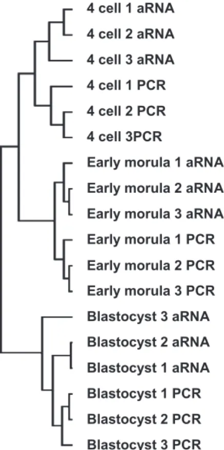 Fig. 1. Hierarchical clustering analysis of the 18 experimental conditions involving all the genes present on the array