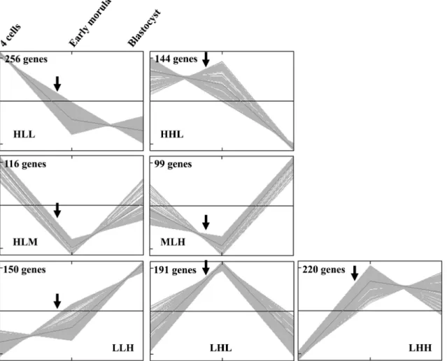 Fig. 3. Time course analysis of individual genes. The 1,176 genes with a stage effect (ANOVA with FDR correction ⬍ 0.10) were dispatched into 7 clusters by a K-means nonhierarchical clustering method