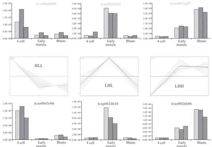 Fig. 5. Validation of the microarray data by quantitative real-time RT-PCR (qRT-PCR). Expression profiles of 6 candidate genes belonging to 3 different clusters (HLL, LHL, and LHH) were assessed by qRT-PCR