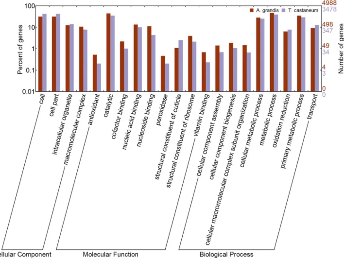 Figure 3.  Comparison of the distribution of GO terms.  The X-axis shows subgroups of cellular component, molecular functions and biological process from GO