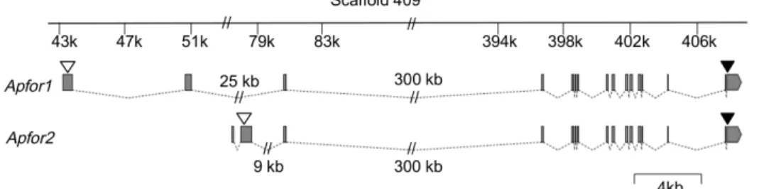 Figure S1 shows the nucleotide and deduced amino acid sequences of the two complete cDNAs