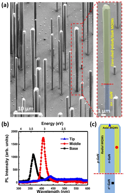 Figure  1.  (a)  SEM  image  of  nanowires  from  sample  A  together  with  a  zoomed-in  image  of  an  individual wire highlighting in artificial colors the bare n+-GaN (base) and the core/shell region