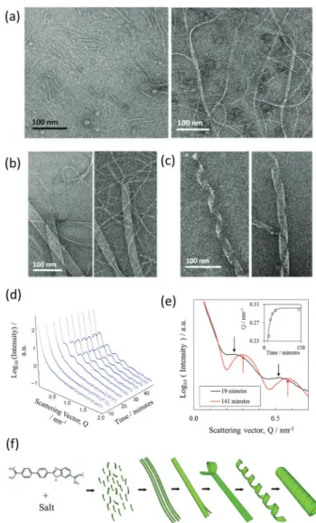 Fig. 4 Evolution of the nanotubes with time. (a) – (c) Negative stain TEM images at time stamps 40 minutes, 24 hours and 48 hours after tube initiation