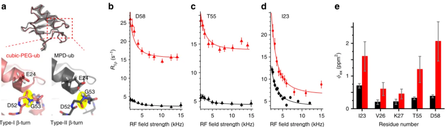 Fig. 1 Evidence for β -turn exchange in MPD-ub (black) and cubic-PEG-ub (red) crystals