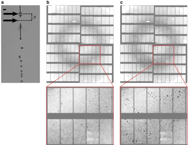 Fig. 1 Consecutive X-ray exposures. a Liquid microjet (lysozyme microcrystals in mother liquor, ~4 µ m jet diameter) after being hit by the ﬁ rst two consecutive X-ray pulses of a pulse train separated by 886 ns, as viewed by the off-axis camera using fs l