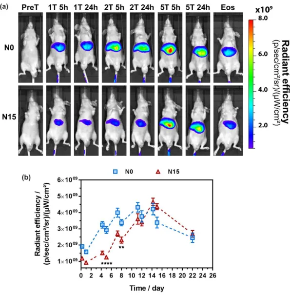 Figure 6. (a) In vivo representative images of tumor-bearing mice after intravenous injection of N0  or  N15 nanoparticles