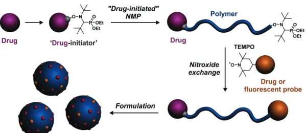 Figure 1.  Synthetic strategy to  well-defined, heterotelechelic  polymer  prodrug nanoparticles  for  imaging, drug delivery and combination therapy by combining the “drug-initiated” method applied  to nitroxide-mediated polymerization (NMP) and the nitro