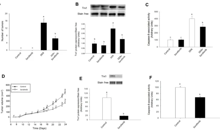 Fig. 5. The antitumoral properties of Sorafenib were associated with downregulation of Trx1 expression and caspase-8 activity in two xenograft mouse models