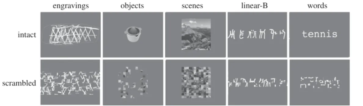 Figure 1. Examples of intact and scrambled stimuli used in the 1-back task.
