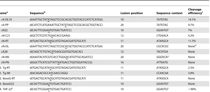 Table 1. Sequences of oligonucleotides bearing a single base lesion used to identify the NIR activity and relative efficiency of the APE1-catalyzed cleavage of duplex DNA substrates.