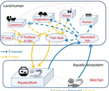Fig. 1 Overview of the global ﬁ shery P ﬂ ows. Harvested ﬁ sh transport P from aquatic ecosystems to land (blue arrows, Methods: Data, P budget), while ﬁ sh farming requires P input primarily through ﬁ sh feed and P fertilizer (orange arrows, Methods: Data