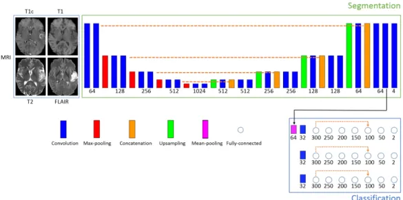 Figure 3: Extension of our model to the multiclass problem. The number of final feature maps of the segmentation subnetwork is equal to the number of classes (4 in our case)